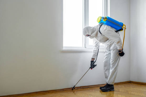 Best Flea Control Services  in Sumter, SC