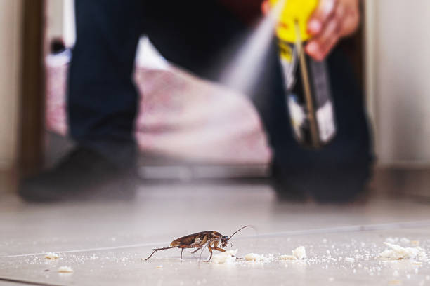 Best Best Pest Control Companies  in Sumter, SC