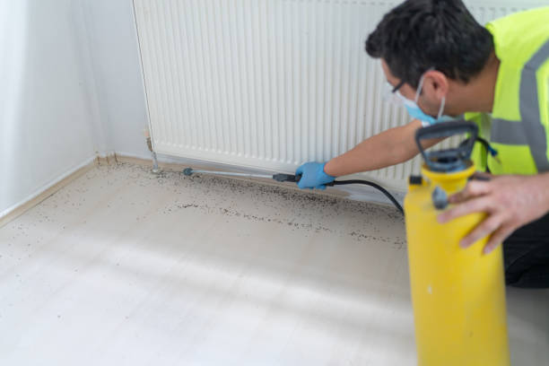 Best Flea Control Services  in Sumter, SC