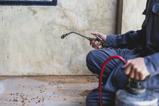 Best Wasp Removal Services  in Sumter, SC