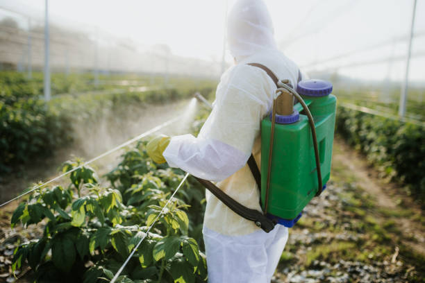 Best Residential Pest Control  in Sumter, SC